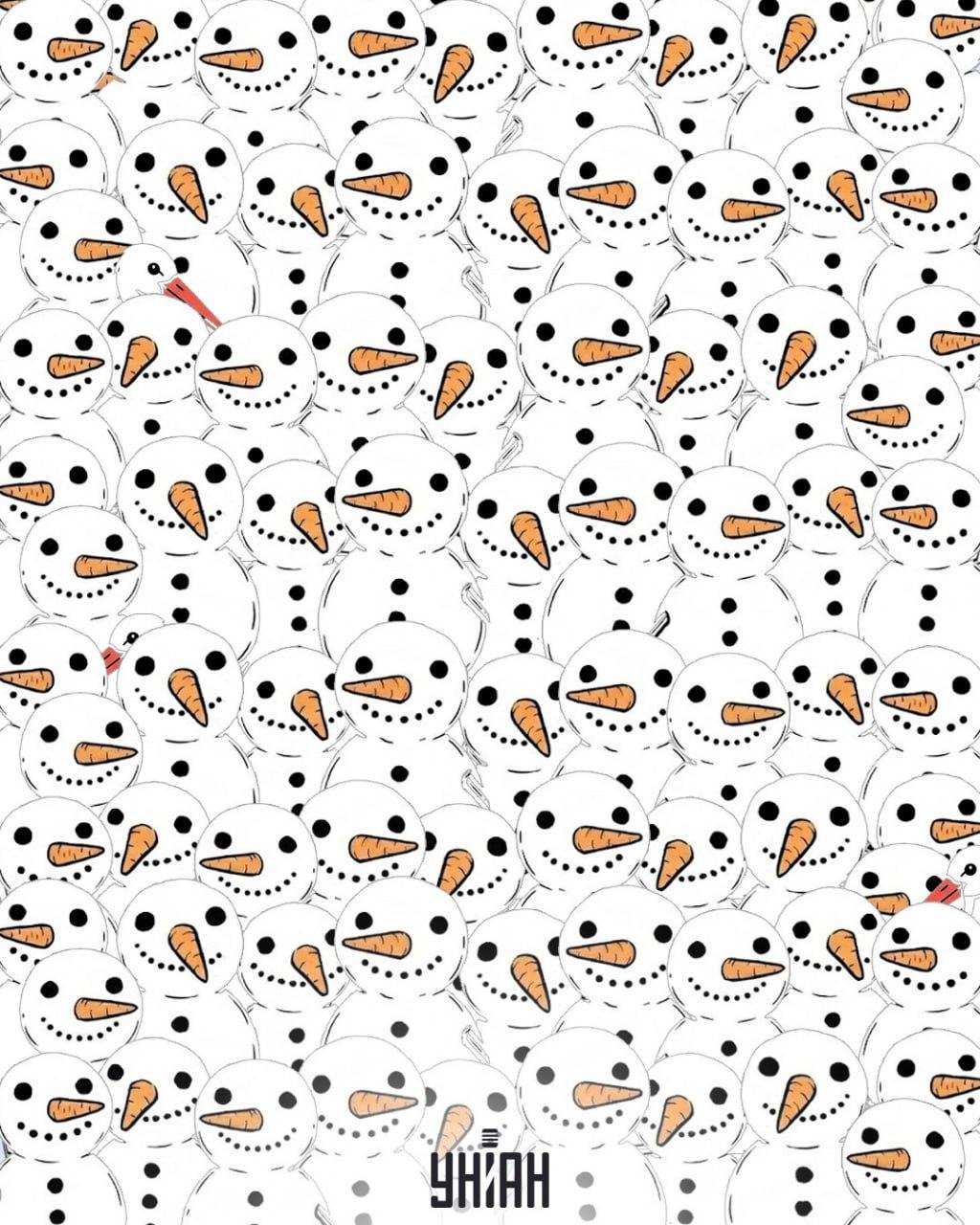 Najděte 3 čápy mezi sněhuláky za 11 sekund: úžasný optický klam