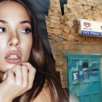 Jen génius by našel psa na ulici za 7 sekund: